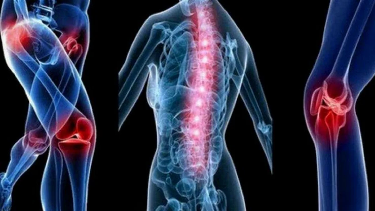 எலும்பு தேய்மானம்