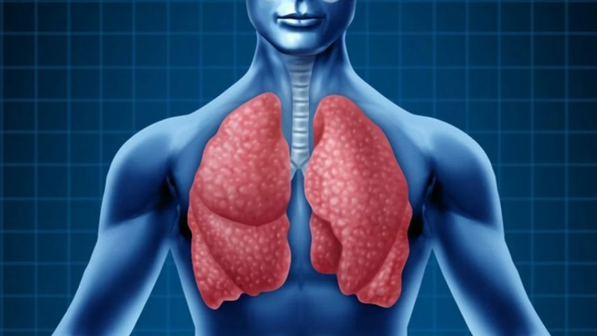 நுரையீரல்