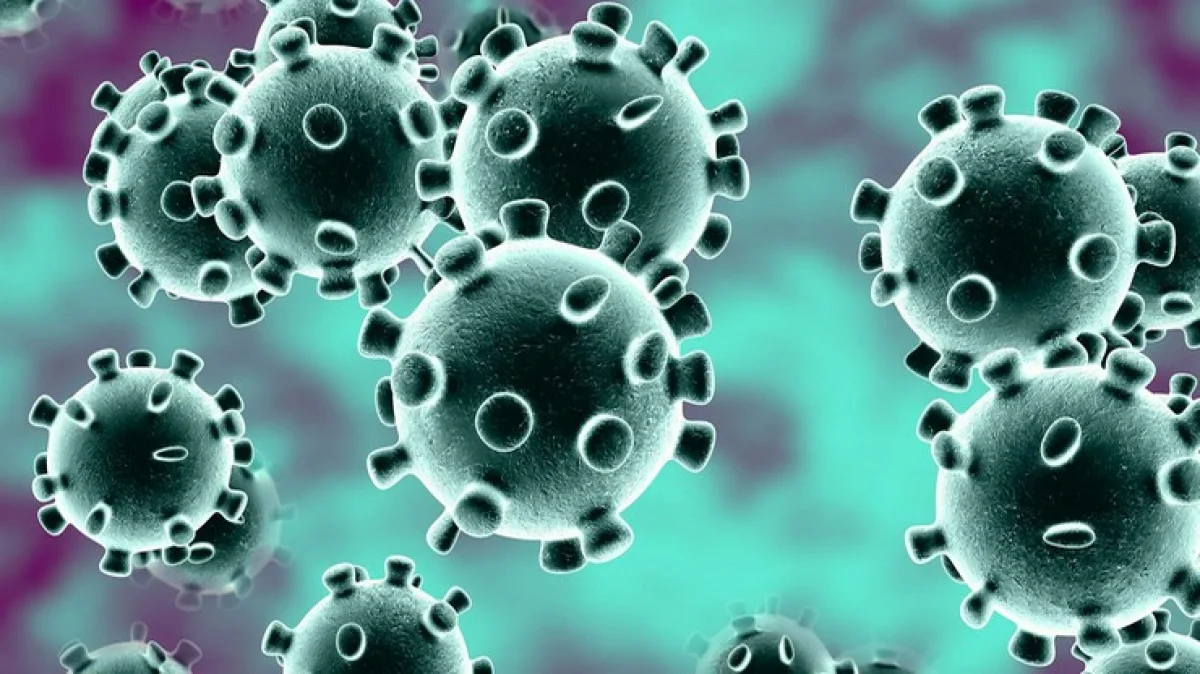 கொரோனா வைரஸ்
