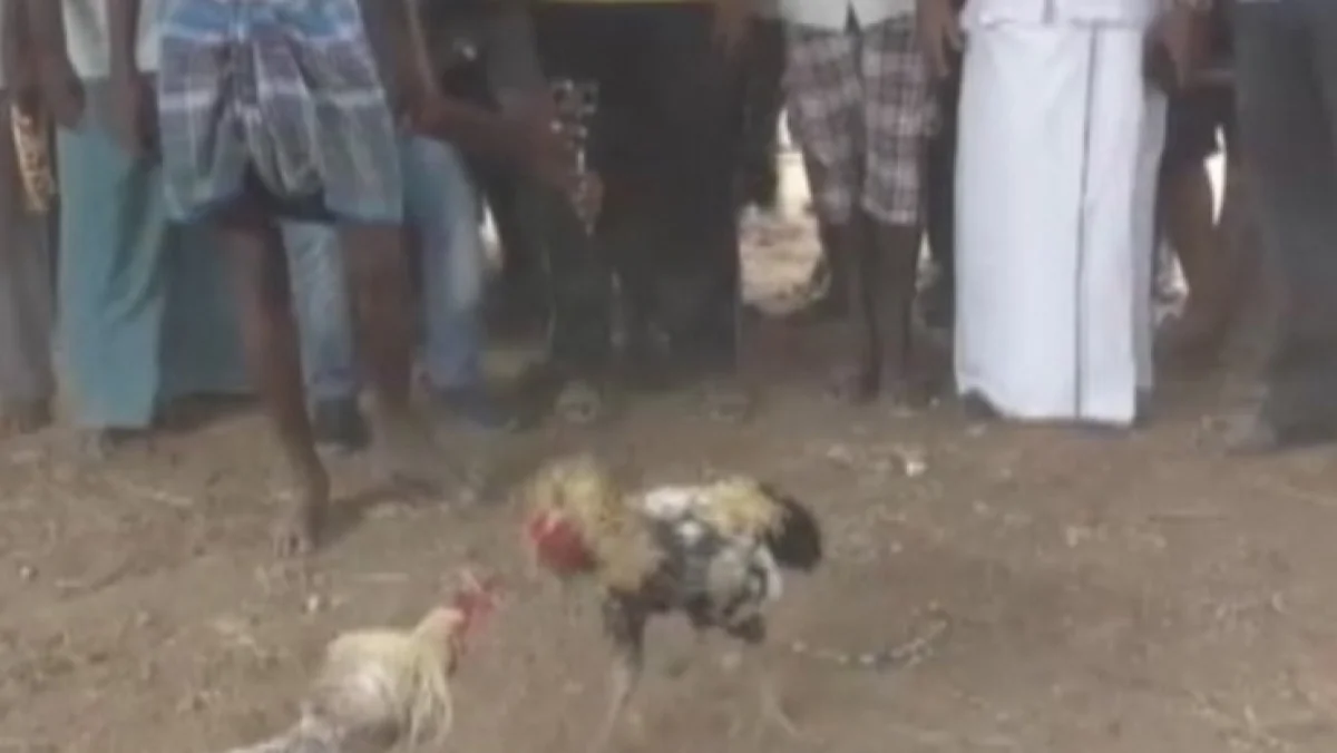 முத்தனம் பாளையம்