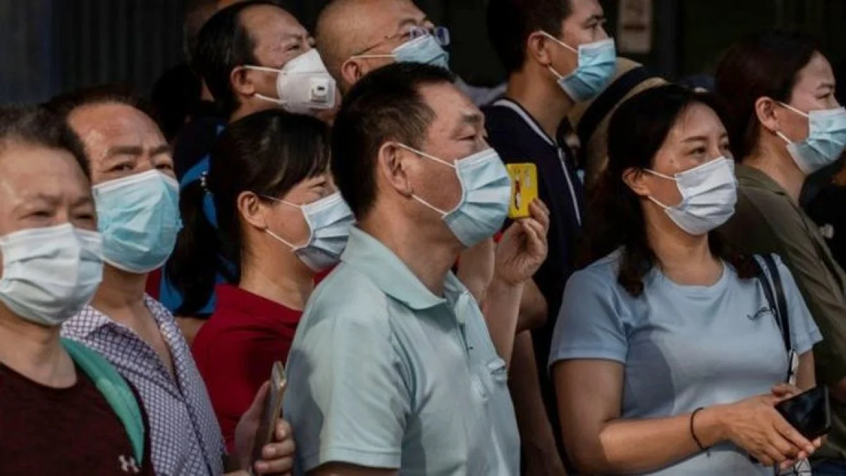 பிரேசில்