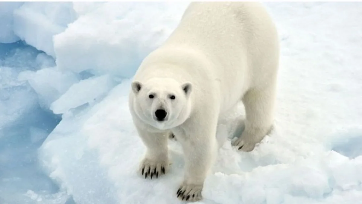 பருவநிலை மாற்றம்