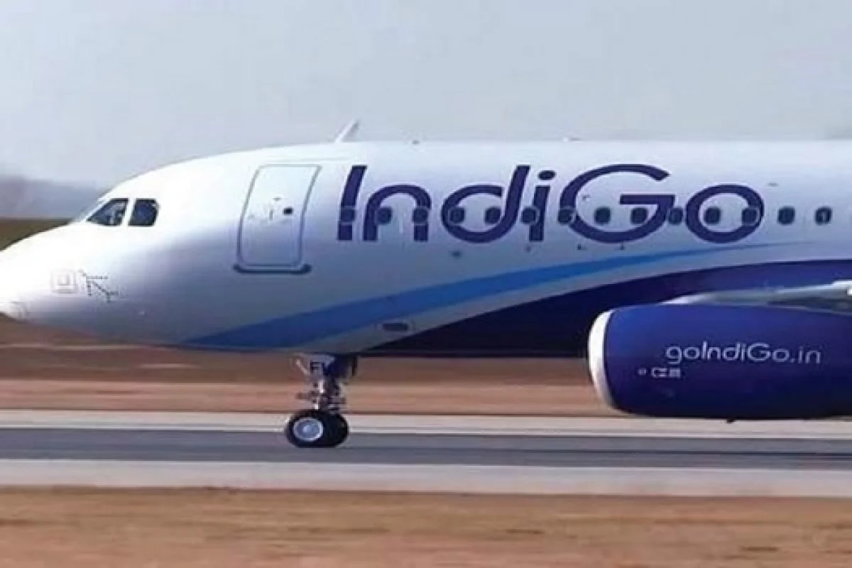 Indigo plane