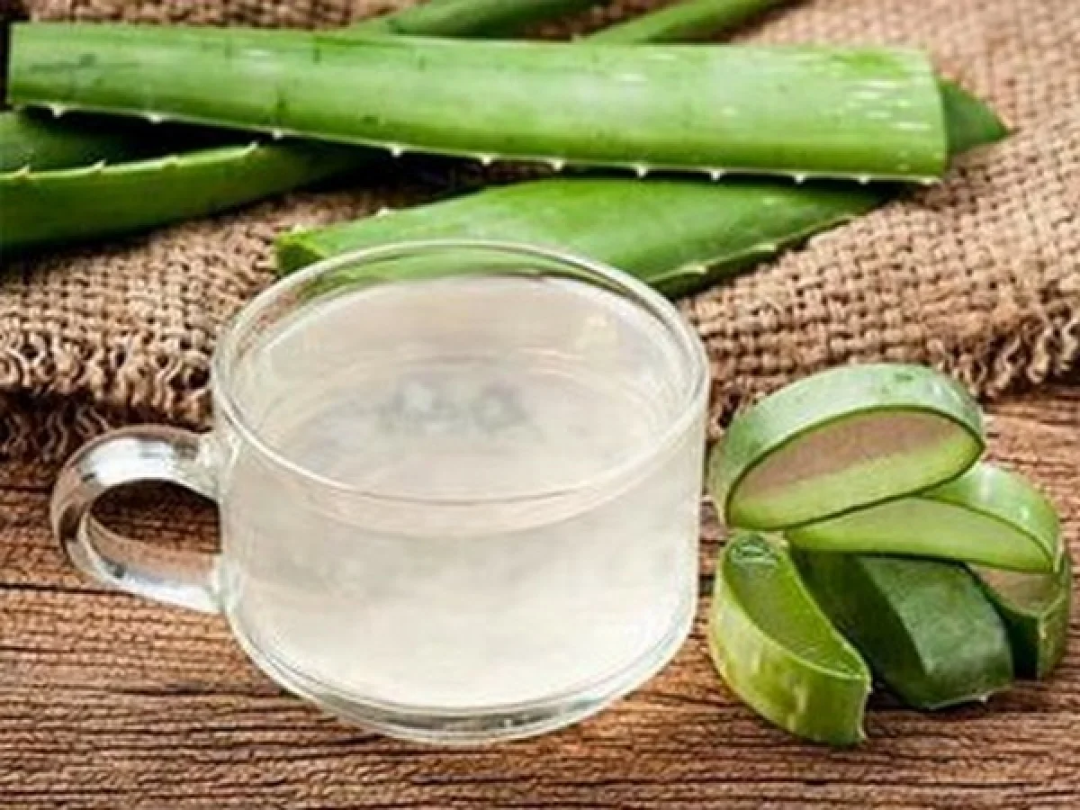 Aloe vera