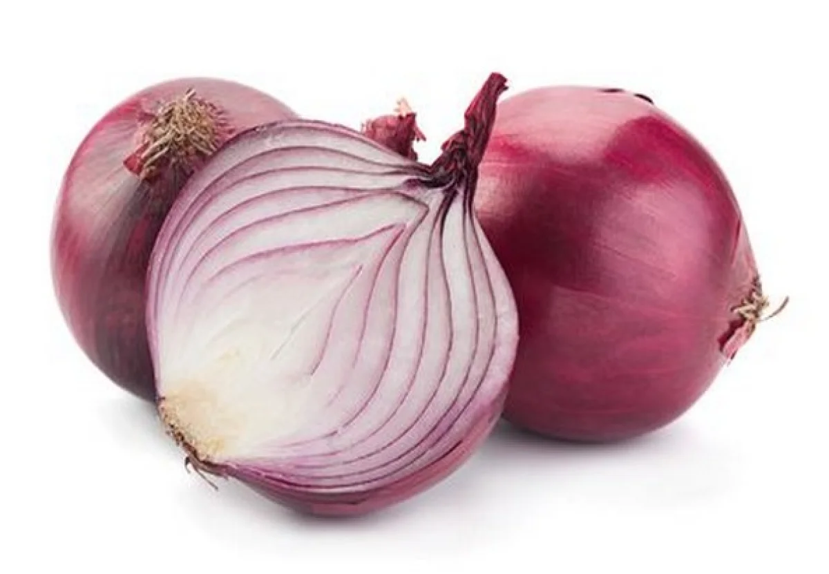 Onion