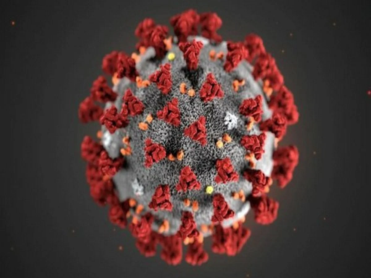 Corona virus