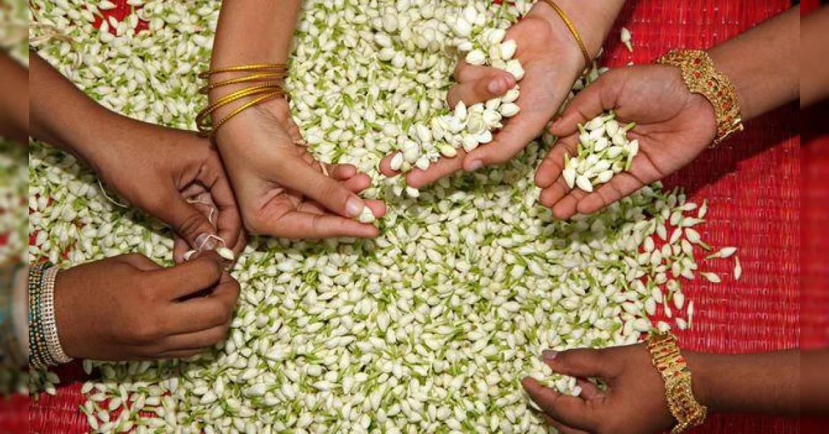 स्त्रीच आरोग्य सांभाळतो गजरा | Webdunia Marathi