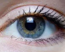 Excessive screen exposure taking a toll on youth eye health: AIIMS-Bhubaneswar