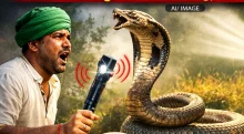 Kya Hai Kisan Mitra Chhadi : क्या है किसान मित्र छड़ी, सांप, बिच्छू और जहरीले जीवों से कैसे करेगी बचाव, बटन दबाते ही 100 मीटर के दायरे में अलर्ट, देखें वीडियो