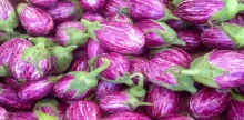वांगी खाण्याचे फायदे आणि तोटे जाणून घ्या! कोणत्या लोकांनी वांगी खाताना घ्यावी काळजी?