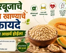 खरबूजाचे बीज खाण्याचे जबरदस्त फायदे जाणून तुम्हालाही आश्चर्य वाटेल!