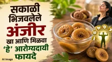 सकाळी भिजवलेले अंजीर खा आणि मिळवा ‘हे’ आरोग्यदायी फायदे; योग्य पद्धत जाणून घ्या