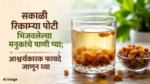 सकाळी रिकाम्या पोटी भिजवलेल्या मनुकांचे पाणी प्या; आश्चर्यकारक फायदे जाणून घ्या सकाळी रिकाम्या पोटी भिजवलेल्या मनुकांचे पाणी प्या; आश्चर्यकारक फायदे जाणून घ्या