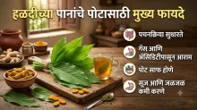 रिकाम्या पोटी हळदीचं पान खाण्याचे फायदे, डॉक्टरांनी सांगितलं पोटाचे सर्व त्रास निघून जातात! रिकाम्या पोटी हळदीचं पान खाण्याचे फायदे, डॉक्टरांनी सांगितलं पोटाचे सर्व त्रास निघून जातात!