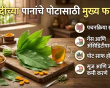 रिकाम्या पोटी हळदीचं पान खाण्याचे फायदे, डॉक्टरांनी सांगितलं पोटाचे सर्व त्रास निघून जातात!