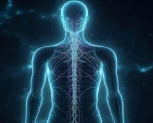 நீடித்த ஆரோக்கியத்துக்கு 8 முக்கிய பழக்கங்கள்: ஹார்வர்டு மருத்துவர் அறிவுரை