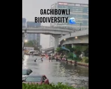 Hyderabad rains: మీ ఆంధ్రోళ్ల వల్లే డ్రైనేజ్ సిస్టమ్ సరిగ్గా లేకుండా రోడ్స్ వేసారు, SM మీమ్స్