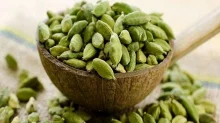 యాలుకలు తింటే కలిగే ఆరోగ్య ప్రయోజనాలు ఏమిటి? యాలుకలు తింటే కలిగే ఆరోగ్య ప్రయోజనాలు ఏమిటి?