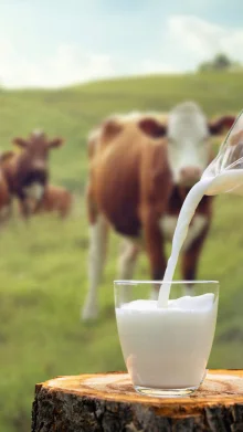 Which Animal Milk Is Best For Humans