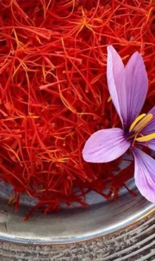 Side effects of eating saffron flower