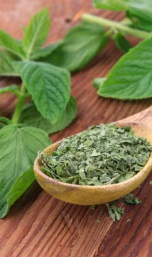 Mint leaves benefits in tamil
