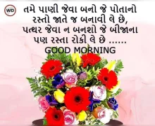 18+ Gujarati Suvichar On Life - જીવન પર ગુજરાતી સુવિચાર