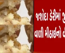 ચેતી જજો- રાજકોટમાં વેચાઈ રહી છે ઇયળ અને જીવાત વાળી મીઠાઈ