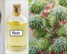 Gujarat ATS - દેશભરમાં મોટા કેમિકલ હુમલાનો હતો પ્લાન, આતંકવાદીઓએ તૈયાર કરી લીધુ હતુ 'ઝેર', પકડાયા ડોક્ટર