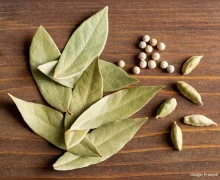 આ પાંદડામાંથી બનેલી ચા સ્વાસ્થ્યનો છે ખજાનો, જે વજન ઘટાડવાથી લઈને અનિદ્રા સુધીની દરેક બાબતમાં છે અસરકારક