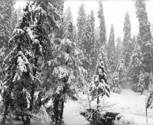 Snowfall in Mountains: પર્વતોમાં પહેલી હિમવર્ષાથી ઠંડીનો ચમકારો થયો, જેનાથી ઉત્તરાખંડ, હિમાચલ અને કાશ્મીરના પ્રવાસીઓના ચહેરા પર સ્મિત આવી ગયું.