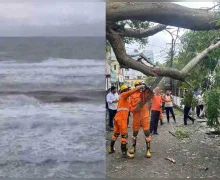Cyclone Senyar Forecast - બંગાળની ખાડીમાં સાઇક્લૉનિક સર્ક્યુલેશન સર્જાતા હવામાન વિભાગની ચેતવણી