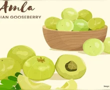 आवळ्या फेस पॅकने मिळवा चमकदार आणि तेजस्वी त्वचा कसे बनवायचे जाणून घ्या