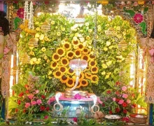 Nag Panchami 2026: कालेश्वर धाम में उमड़ा आस्था का सैलाब, नाग देवता के दर्शन को पहुंचे हजारों श्रद्धालु