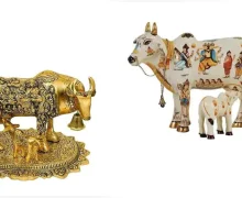 Kamdhenu Cow कामधेनू गायीची पूजा कशी करावी?