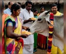 Gopashtami 2025 Wishes in Marathi गोपाष्टीमाच्या शुभेच्छा मराठीत