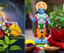 Devuthani Ekadashi 2025: प्रबोधिनी एकादशीला तुळशीचे हे उपाय करा, देवी लक्ष्मी तुमच्यावर धनाचा वर्षाव करेल