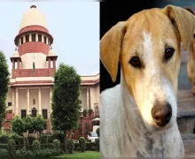 सर्वोच्च न्यायालयाने महत्त्वपूर्ण निर्णय दिला; शैक्षणिक संस्था व रुग्णालय परिसरात भटक्या कुत्र्यांच्या प्रवेशावर बंदी