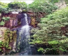 Kakolat Falls निसर्गाच्या कलात्मकतेचे एक अद्भुत उदाहरण ककोलत धबधबा