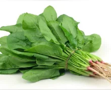 ரத்த சிவப்பணுக்களை அதிகரிக்கும் பாலக் கீரை! அதிசய பலன்கள் தரும் எளிய சமையல் முறை