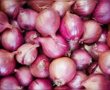 ஒரு கிலோ வெங்காயம் ஒரு ரூபாய்.. வெங்காயத்திற்கு இறுதி சடங்கு செய்த விவசாயிகள்..!