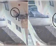 முதல் மாடி பால்கனியில் இருந்து தவறி விழுந்த 3 வயது சிறுவன்.. நண்பர்களை கூப்பிடும்போது ஏற்பட்ட விபரீதம்..!