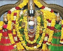 மலைபோன்ற சிக்கல்களை தீர்க்கும் கரியமாணிக்கப் பெருமாள் திருத்தலம்!