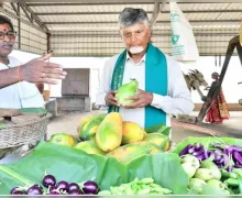 భువనేశ్వరి గారు ఆర్డర్ చేస్తే.. రైతు బజారులో కూరగాయలు కొన్న సీఎం చంద్రబాబు