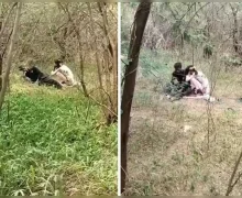 ఏకాంతం కోసం అడవిలోకి వెళ్లిన ప్రేమికులు, పంజా విసిరిన యమపాశం, వీడియో