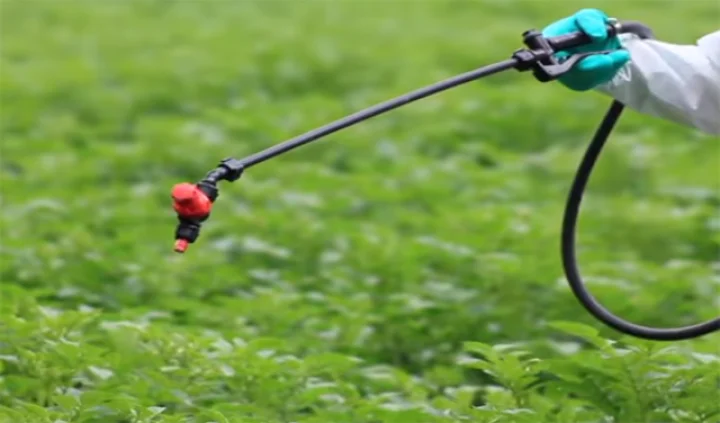 What are natural pesticides?