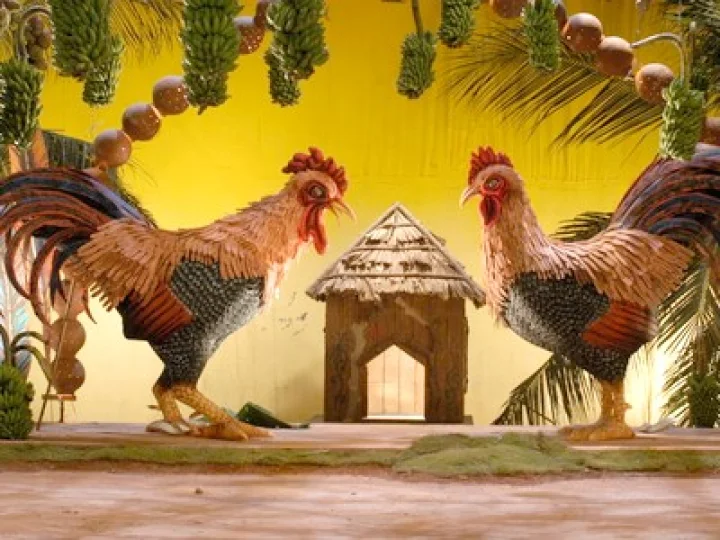 Sankranti festival