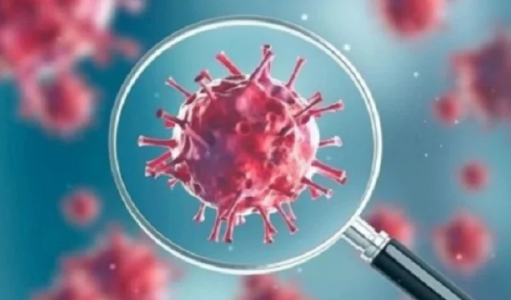 coronavirus