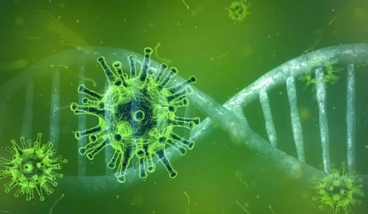 coronavirus