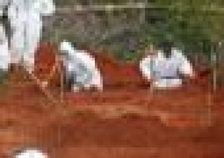 Kenya: Cult leader found guilty of ordering followers to starve their children to death in the hope of ‘meeting Jesus’