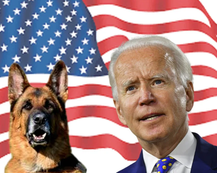 Joe Biden dog